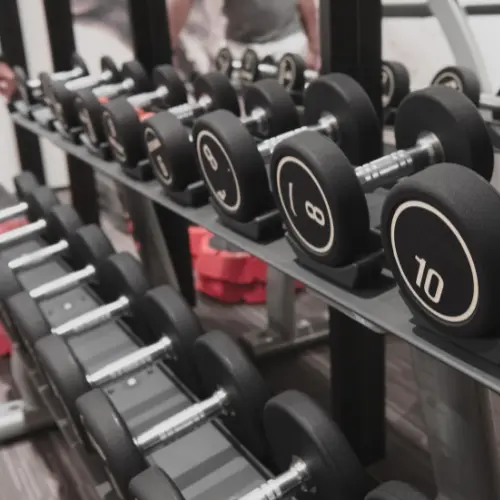 Jasa Pembutan Website Fitness dan Gym 2